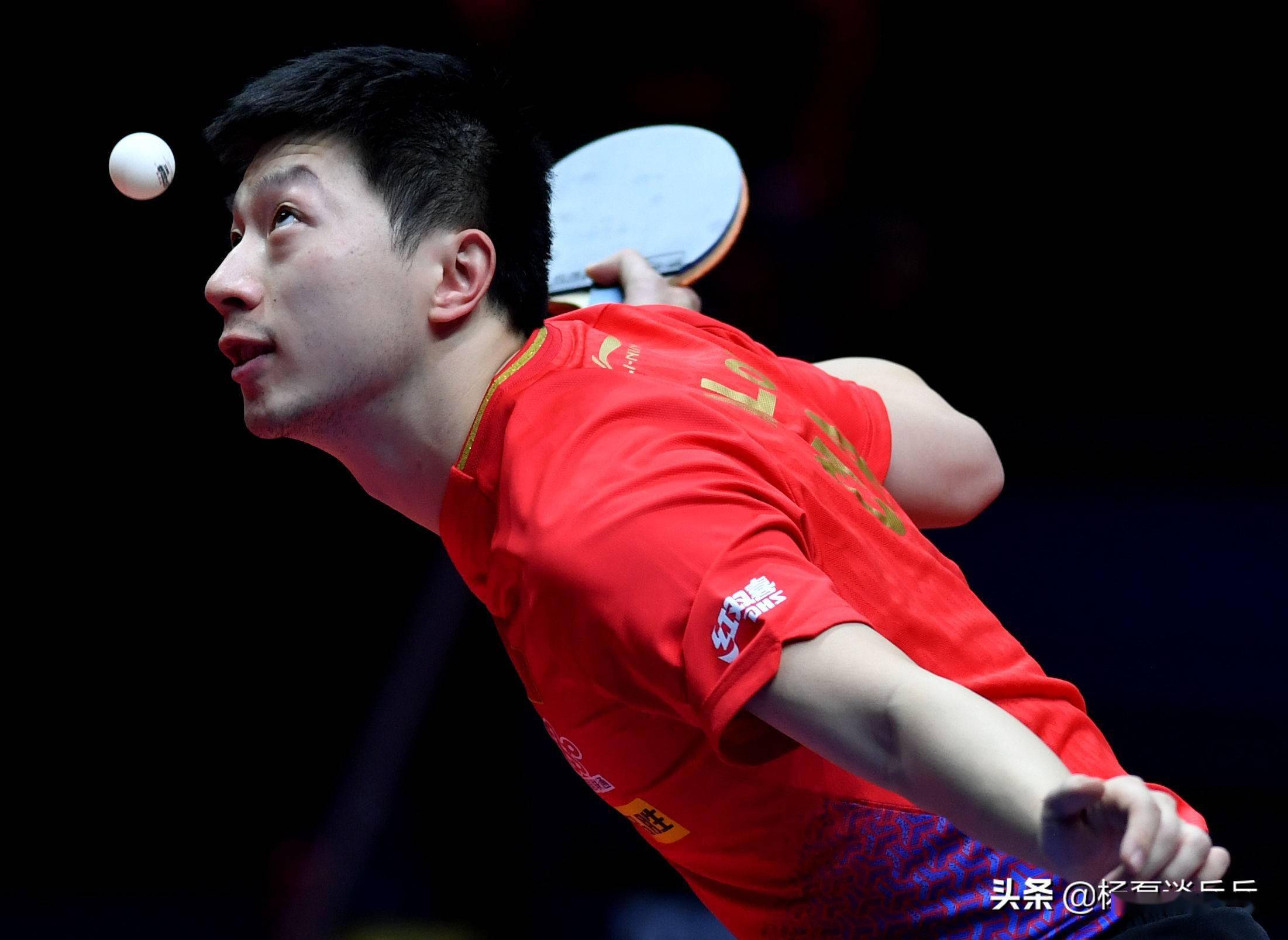 和反应速度 和反应速度