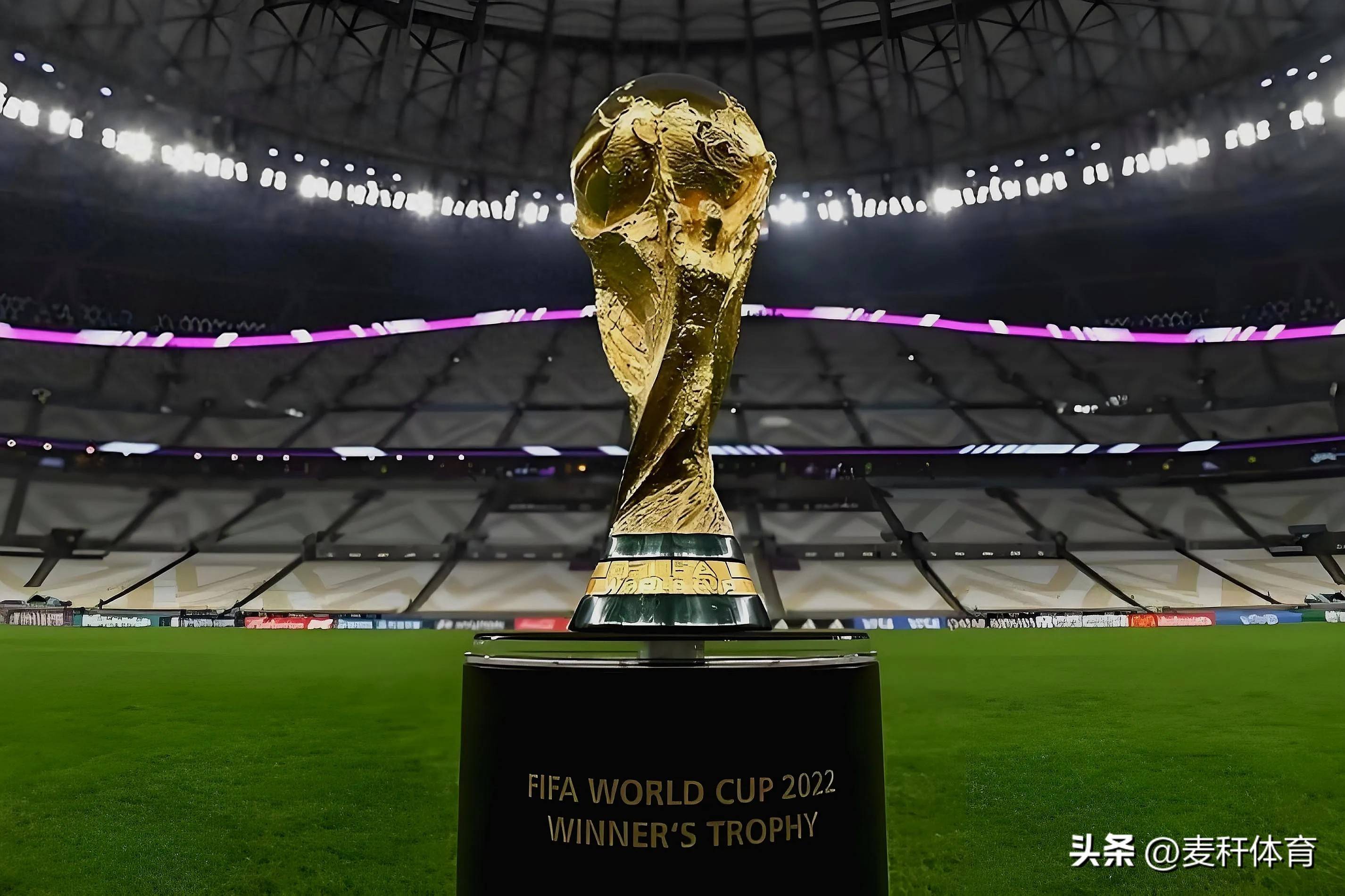 这种支持不 这种支持不