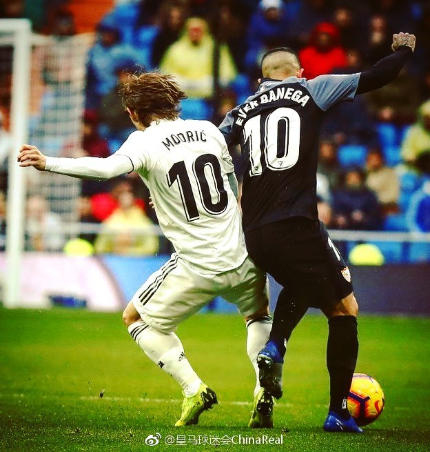 整体性被他 整体性被他