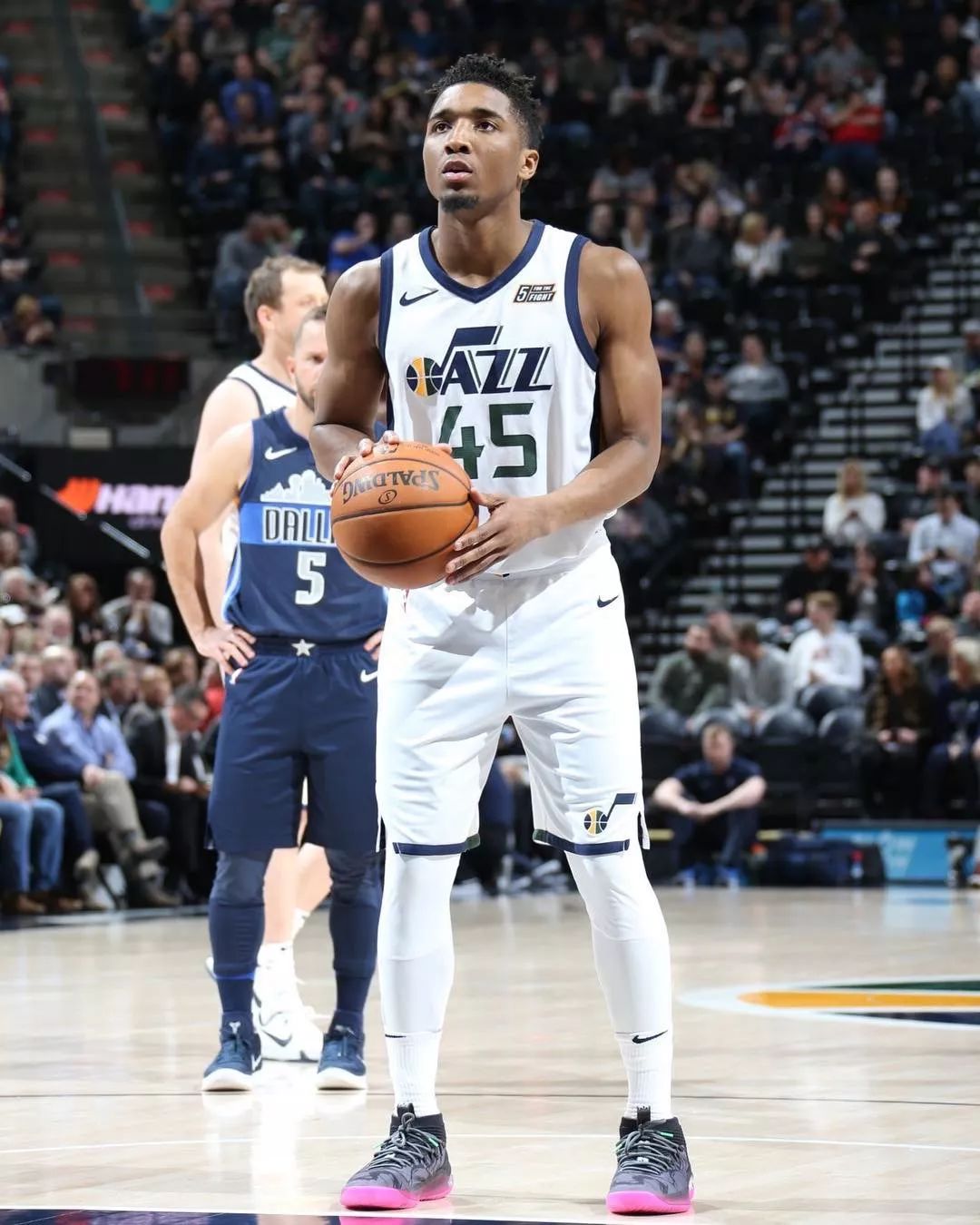 日本火腿的 日本火腿的